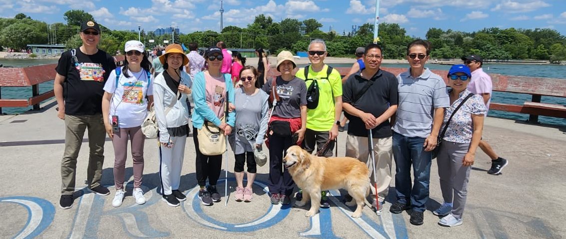 Group of people outdoor with guide dog